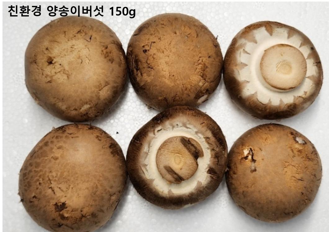 이미지4